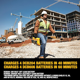 DEWALT 20-V 4-Pack 2 Amp-Hour; 2 Amp-Hour Lithium-ion Battery Kit (Charger Included) (Reconditioned)