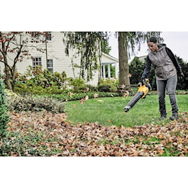 DeWalt 20V MAX* XR® Brushless Cordless Handheld Blower Kit (5.0Ah) (Reconditioned)
