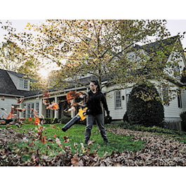 DeWalt 60V MAX* FLEXVOLT® Brushless Cordless Handheld Axial Blower (Tool Only) (Reconditioned)