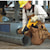 Cordless Reciprocating Saw being used by worker to cut steel pipe at worksite.